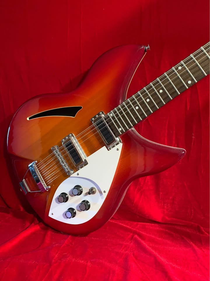 Dillion 12 String w/Hard Case - C