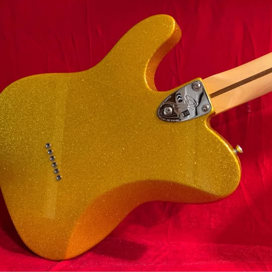 Fender Mexican Tele Deluxe