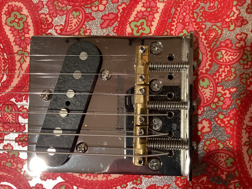 *WWG Custom Paisley Telecaster*