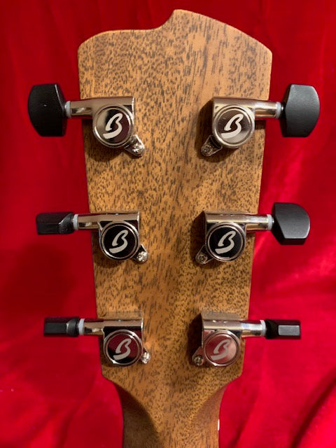 Breedlove RTD-SMEDe Dreadnought-Edgeburst w/ Breedlove Case