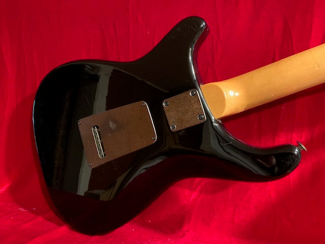 PRS "Custom Rust Never Sleeps"-C